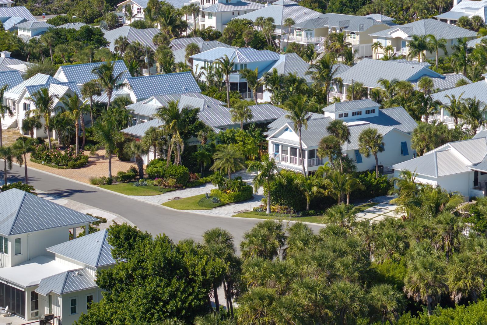 Premium Southwest Florida homes with palm trees, exterior painting market in Lakewood Ranch